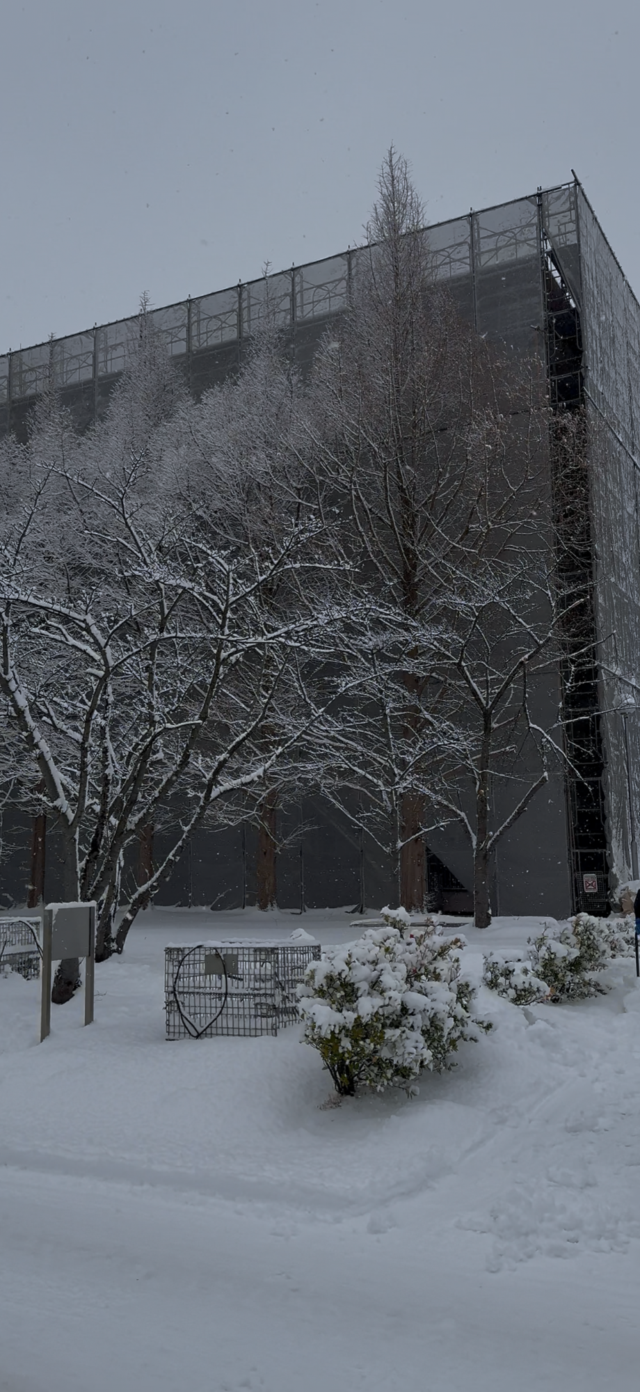 今年一発目の請負の現場になります！秋田県着工致しました！寒さに負けず団結し頑張っていきます！