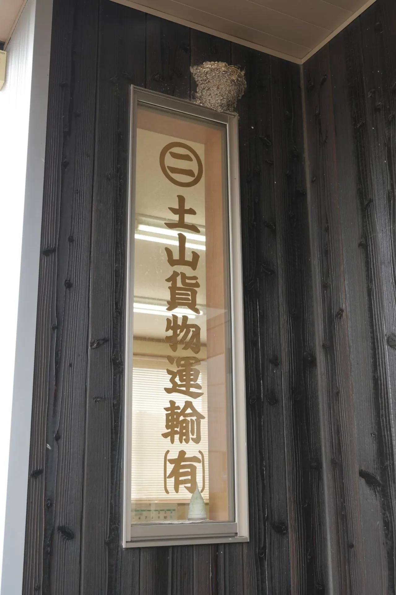 代表
