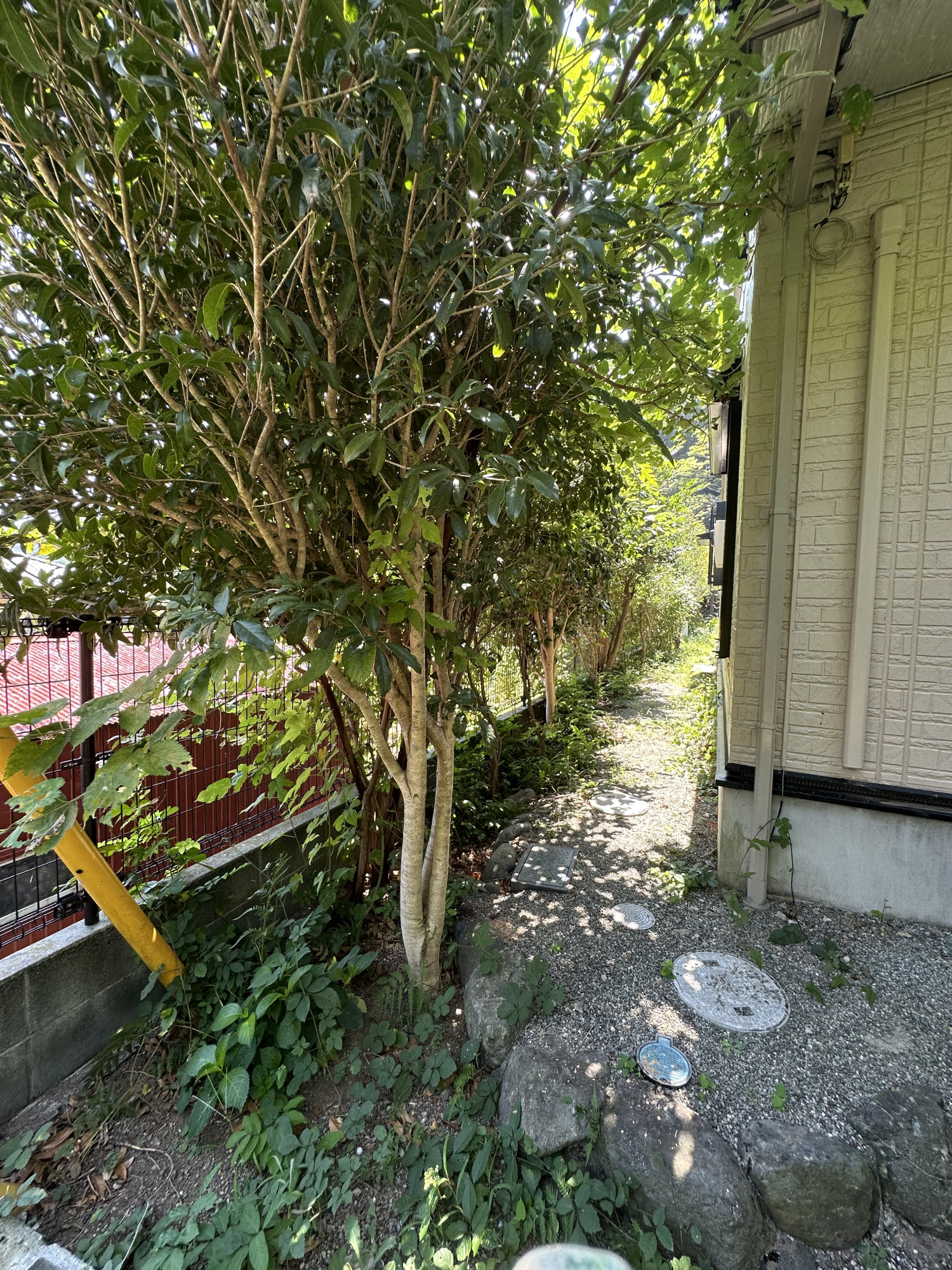 平塚市I様邸の植木伐採工事を行いました。 | 造園工事や庭木伐採は
