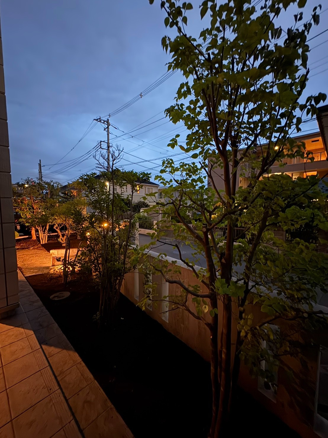 平塚市H様邸の庭木剪定、除草を行いました。