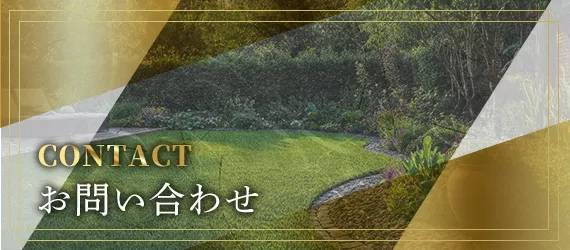 画像エリア