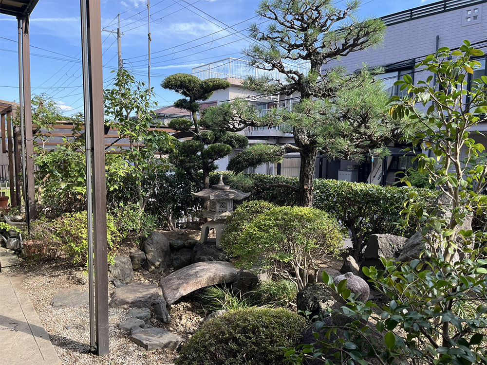 剪定後に整えられた個人宅の庭木と手入れの行き届いた植栽の様子