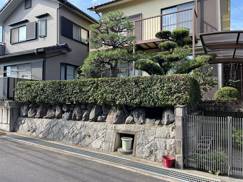 落ち葉や雑草が取り除かれ清掃後にきれいになった庭の全景
