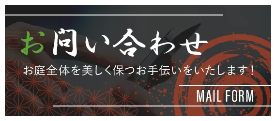画像エリア