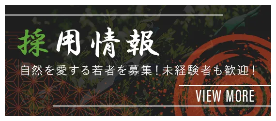 画像エリア