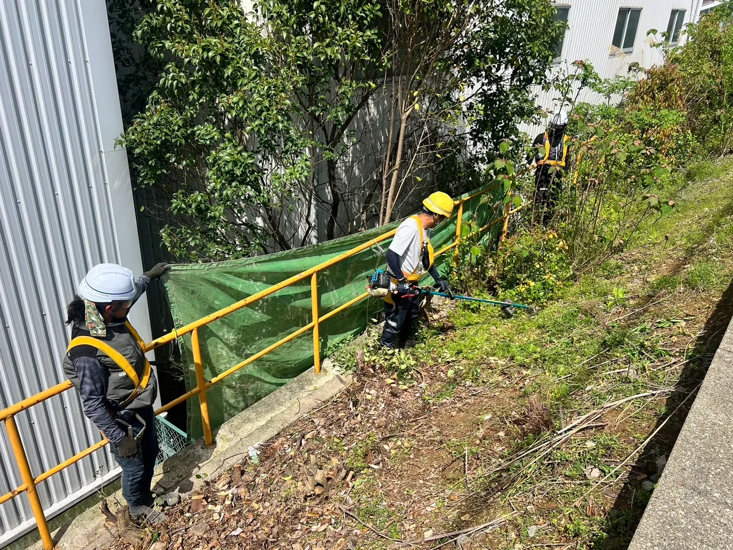 線路沿いの緑化メンテナンス