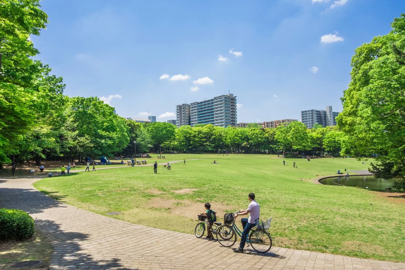 休日の公園