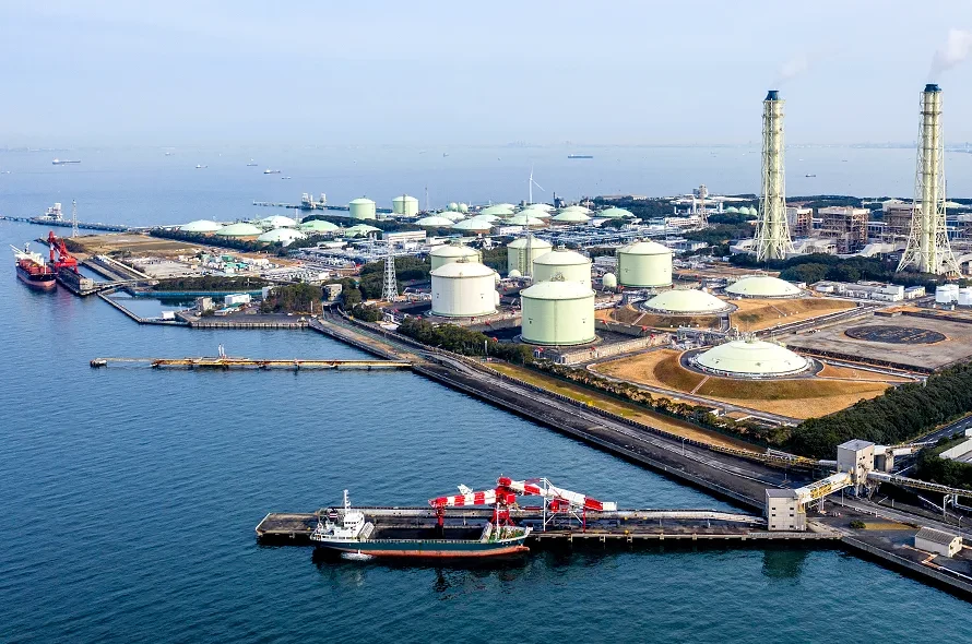 ベイ・プラント株式会社