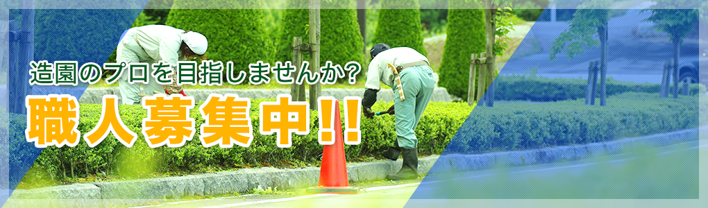 採用情報