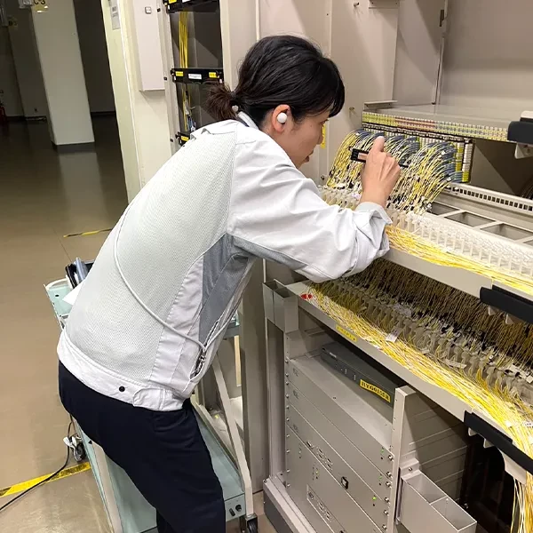 局内JP・対象試験