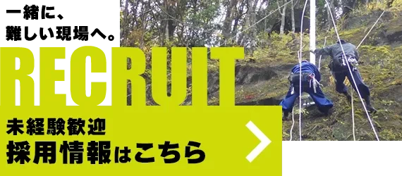 採用情報