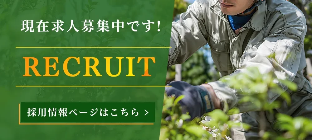 採用情報