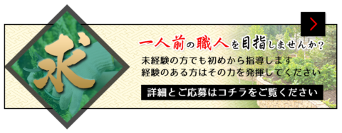 採用情報