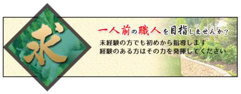 採用情報
