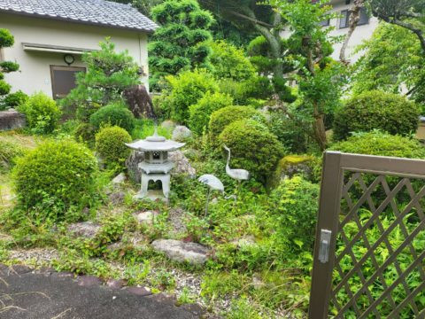 剪定工　施工前
