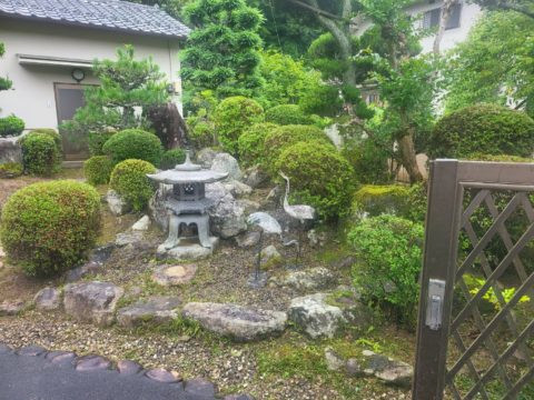 剪定工　施工後