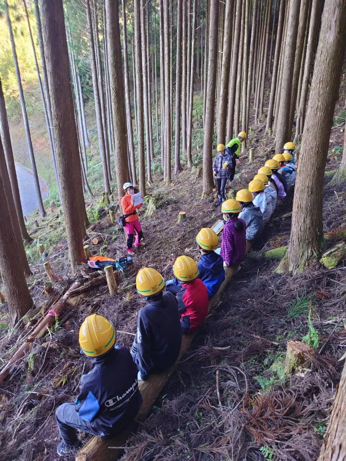 森の中で授業を受ける子どもたち