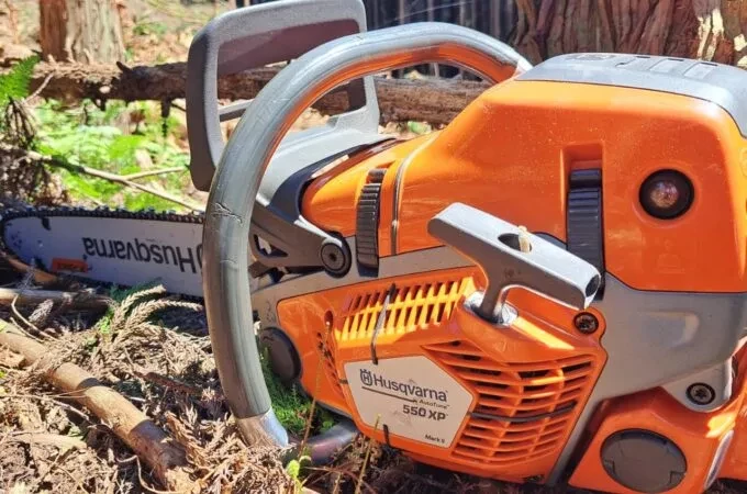 チェーンソーが稼働する現場