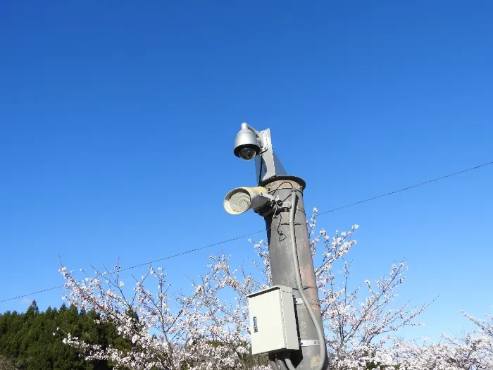 青空と桜を背景にポールへ設置された監視カメラ