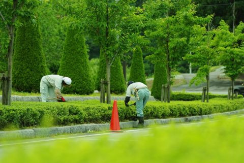 造成工事スタッフ