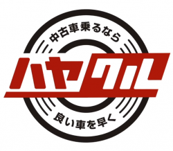 ハヤクル