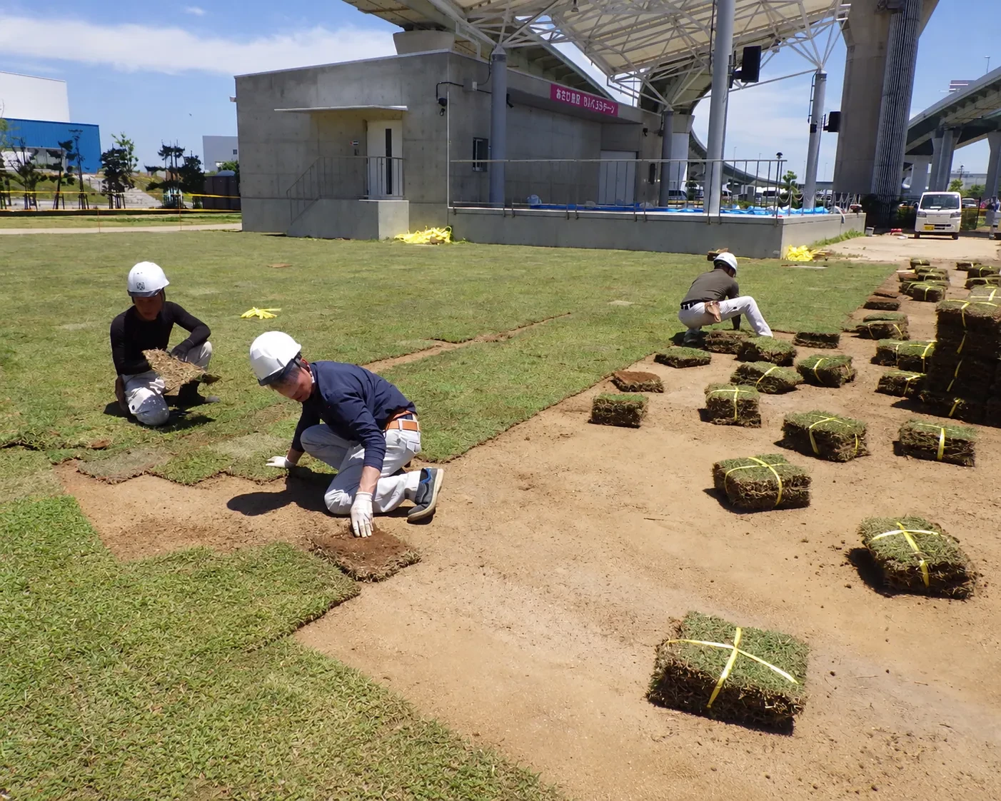 公園で芝張り作業を行う社員たち