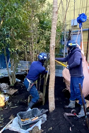 自然と人々の暮らしに寄り添う 誠実に歩み続ける株式会社角安の理念