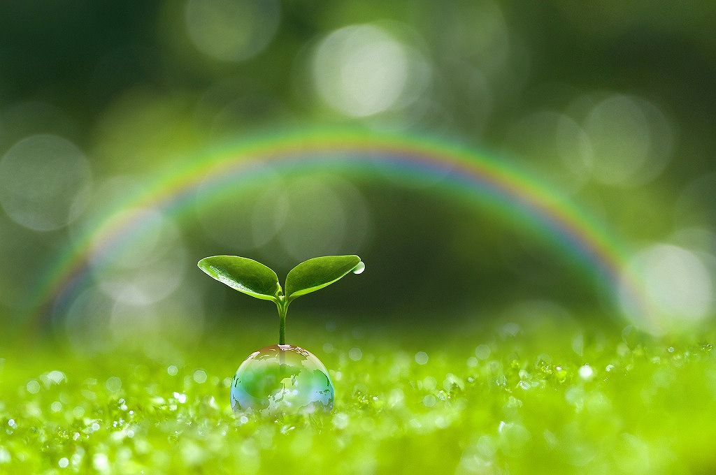 個性を活かせる造園土木工事の世界