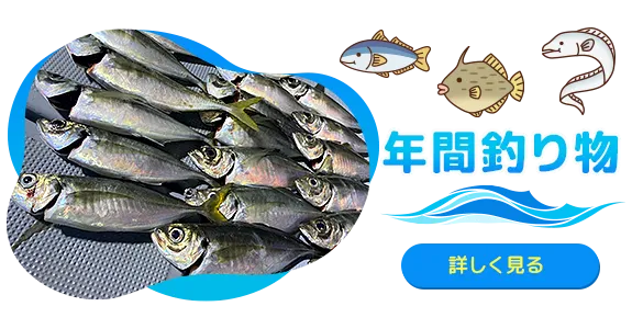 年間釣り物