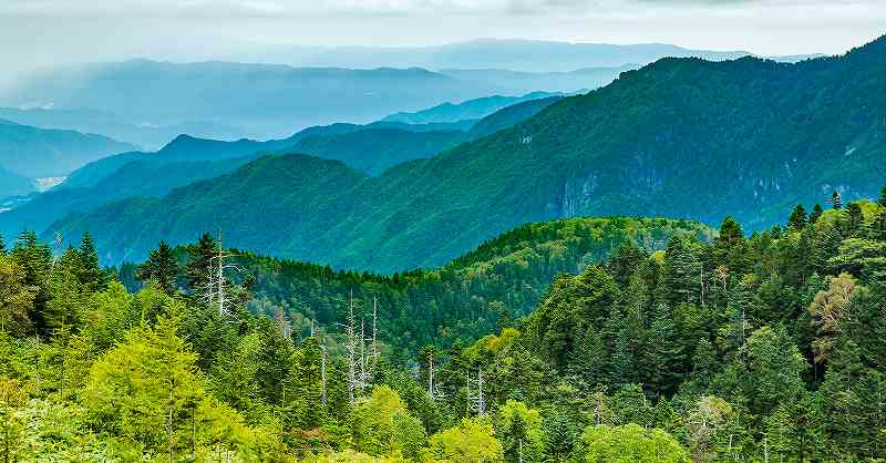 山