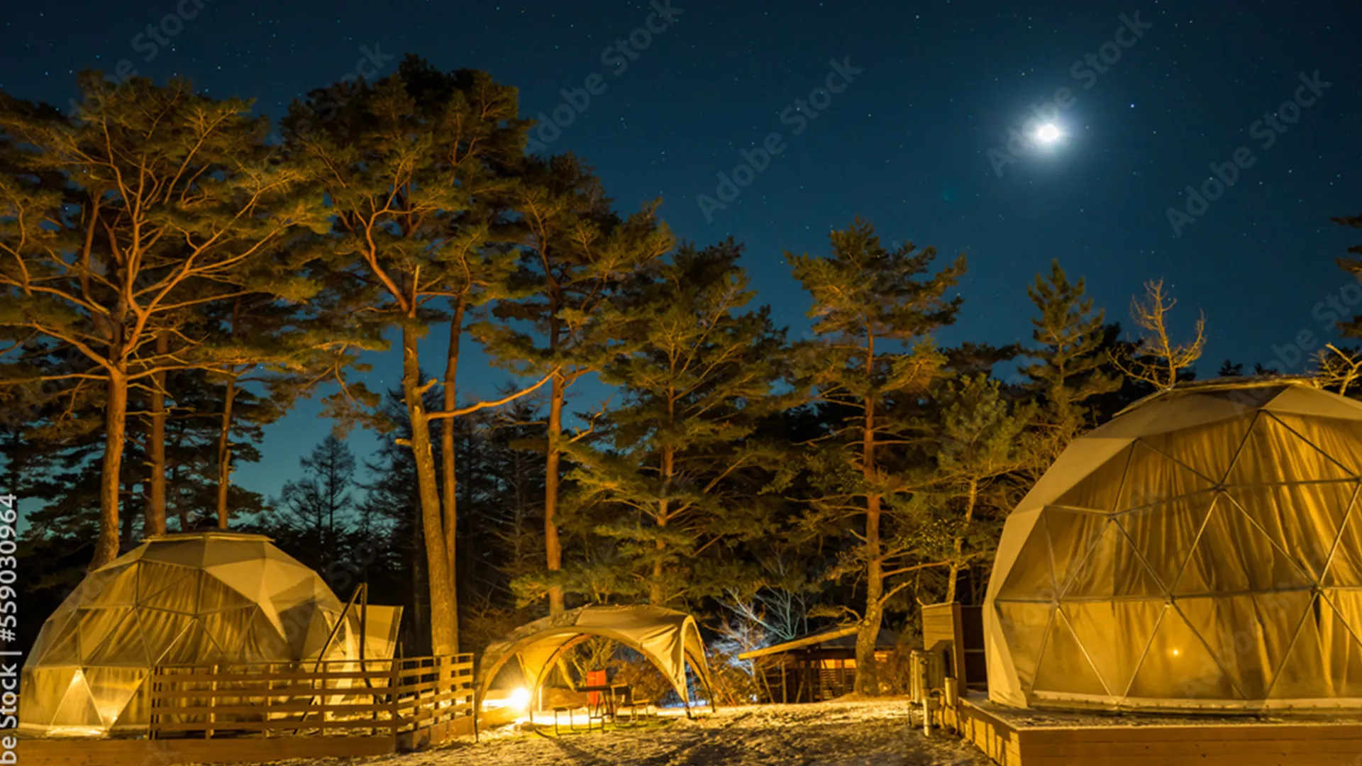 グランピングなら絶対ここ！！伊豆の美しい星空の下で、愛犬と過ごす