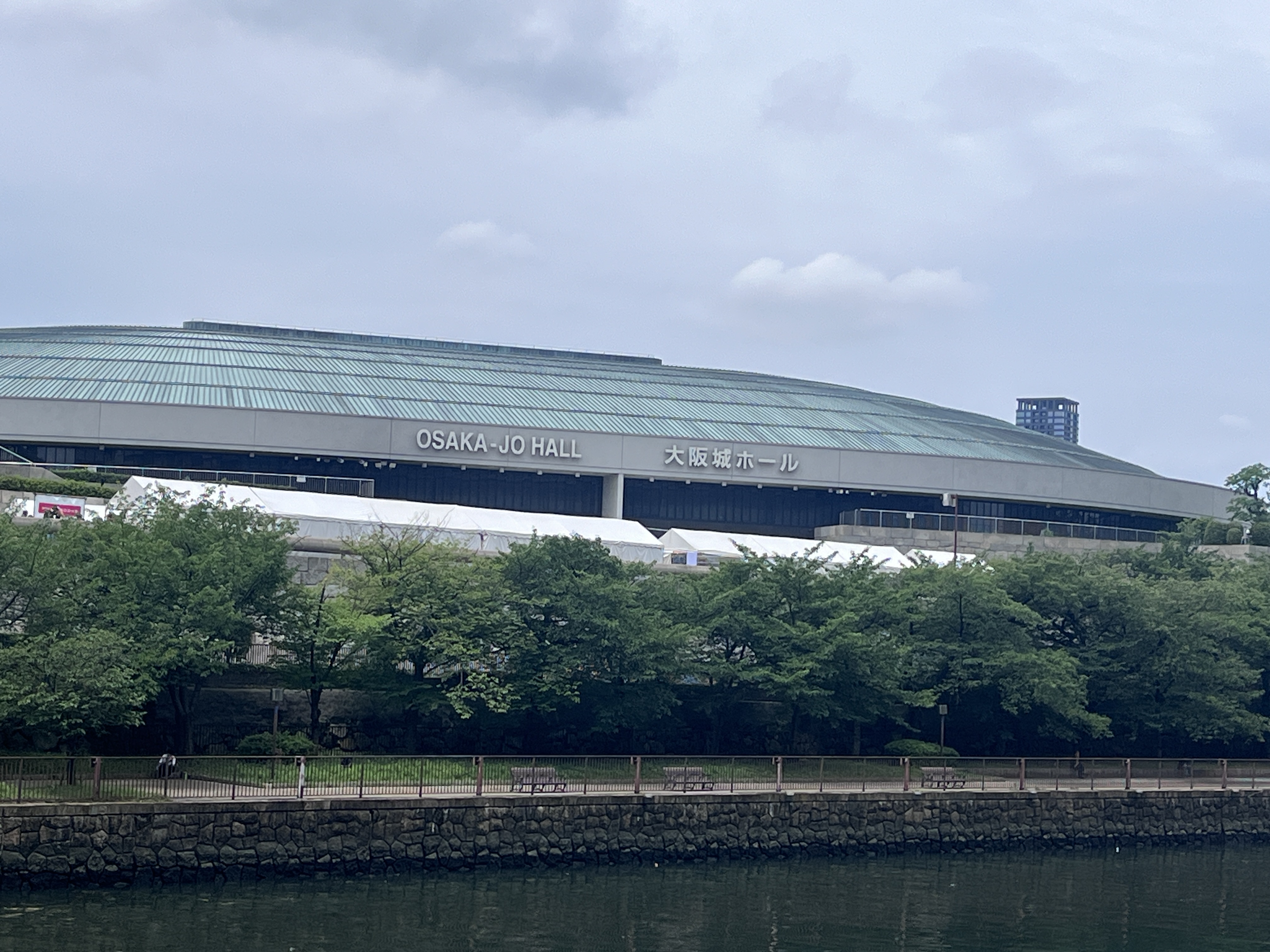 Ado 大阪城ホール Live ライブ グッズ モナリザ 横顔