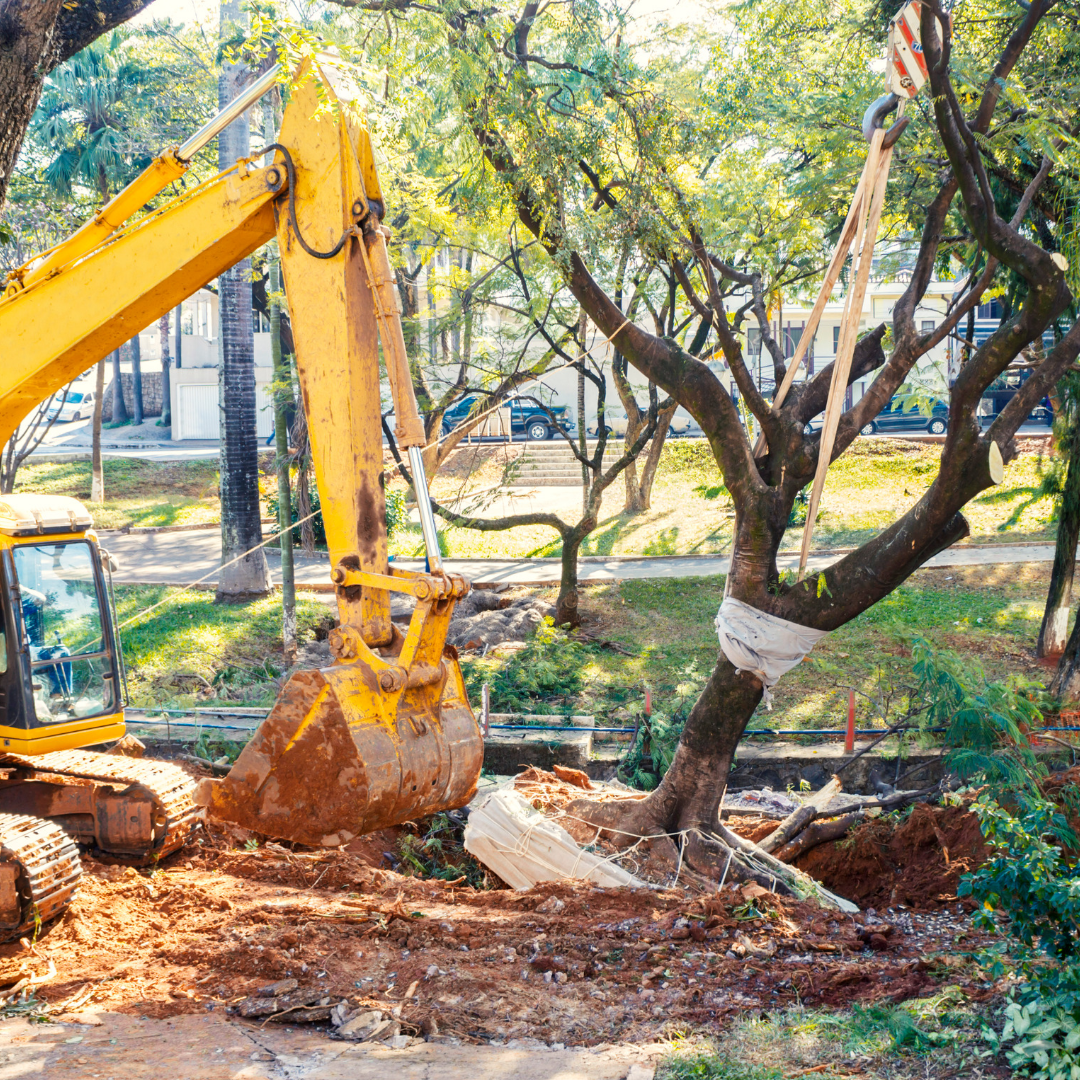 抜根依頼 重機入れるスペース有り