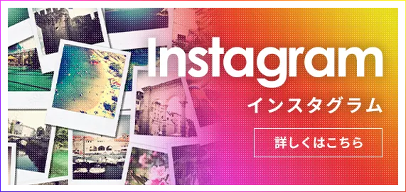 画像エリア