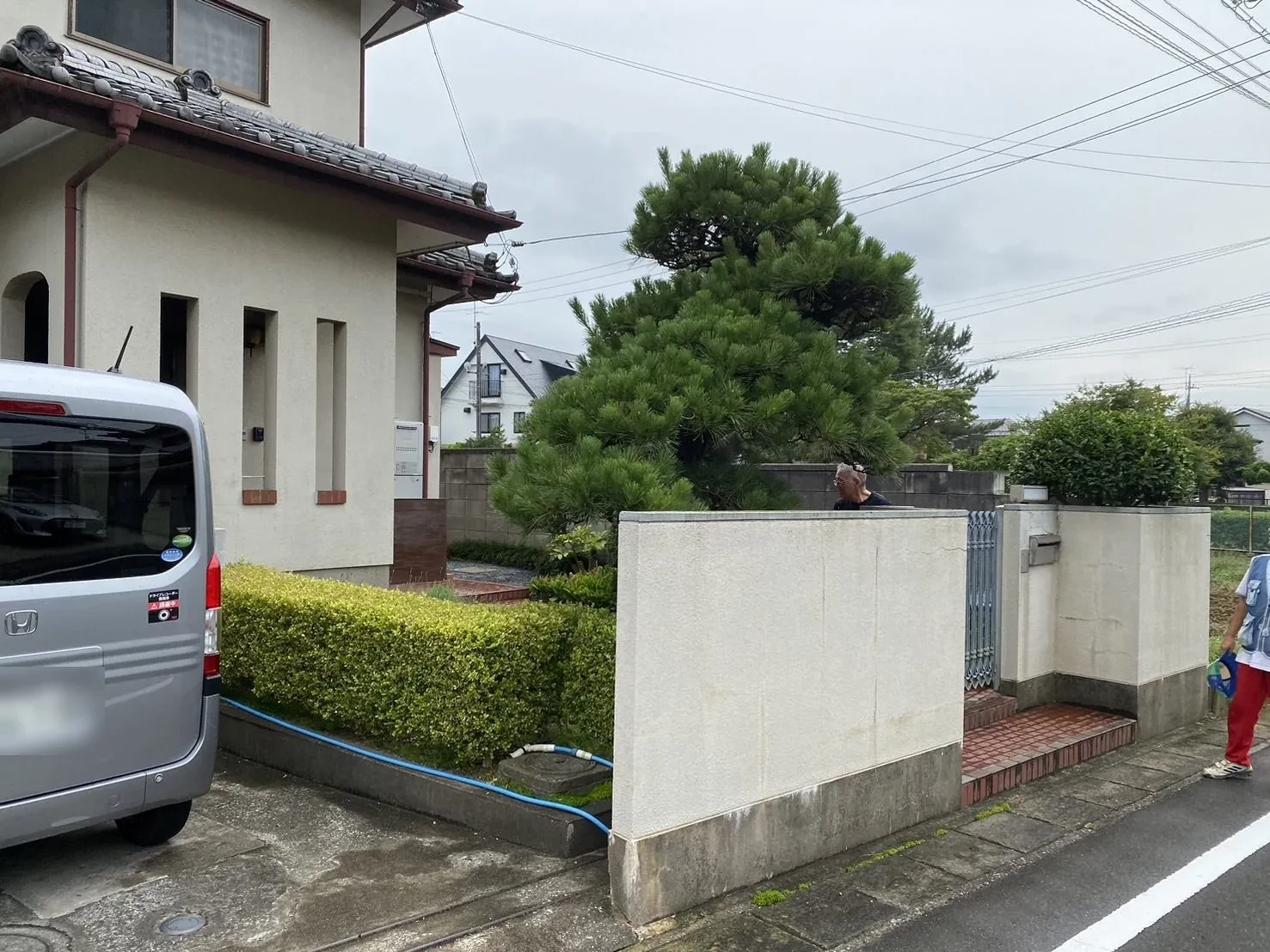 一本ずつ手で松の芽を摘む、職人の手元