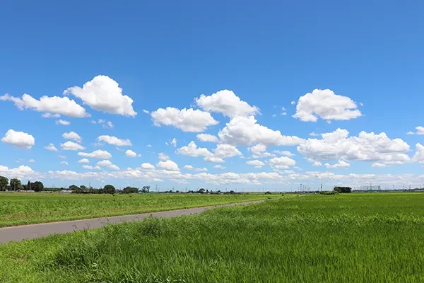 野田市にお住まいの皆様へ