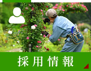 採用情報