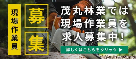 採用情報