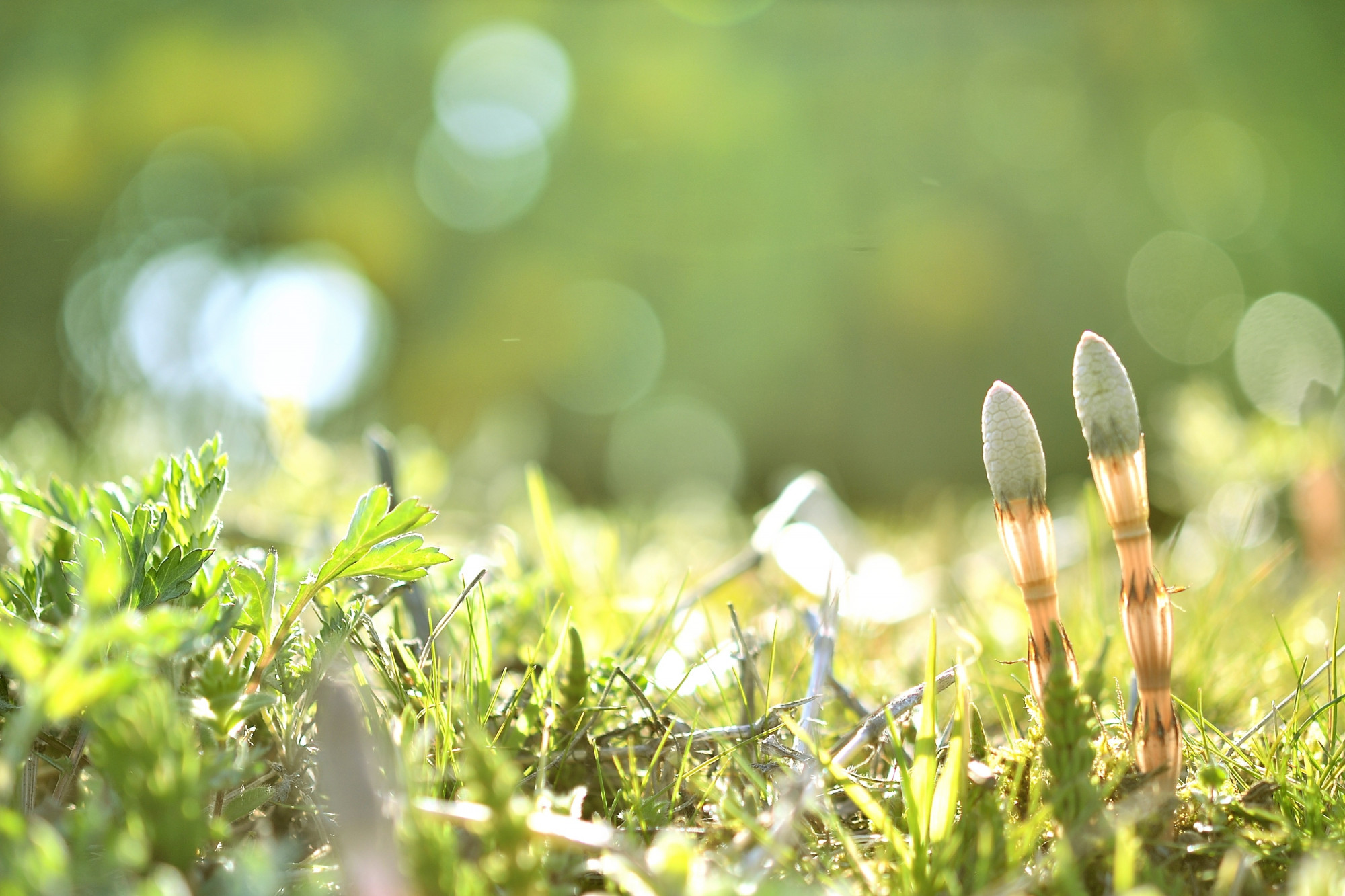 侍ジャパンに学ぶ「準備」と「結束」の大切さ