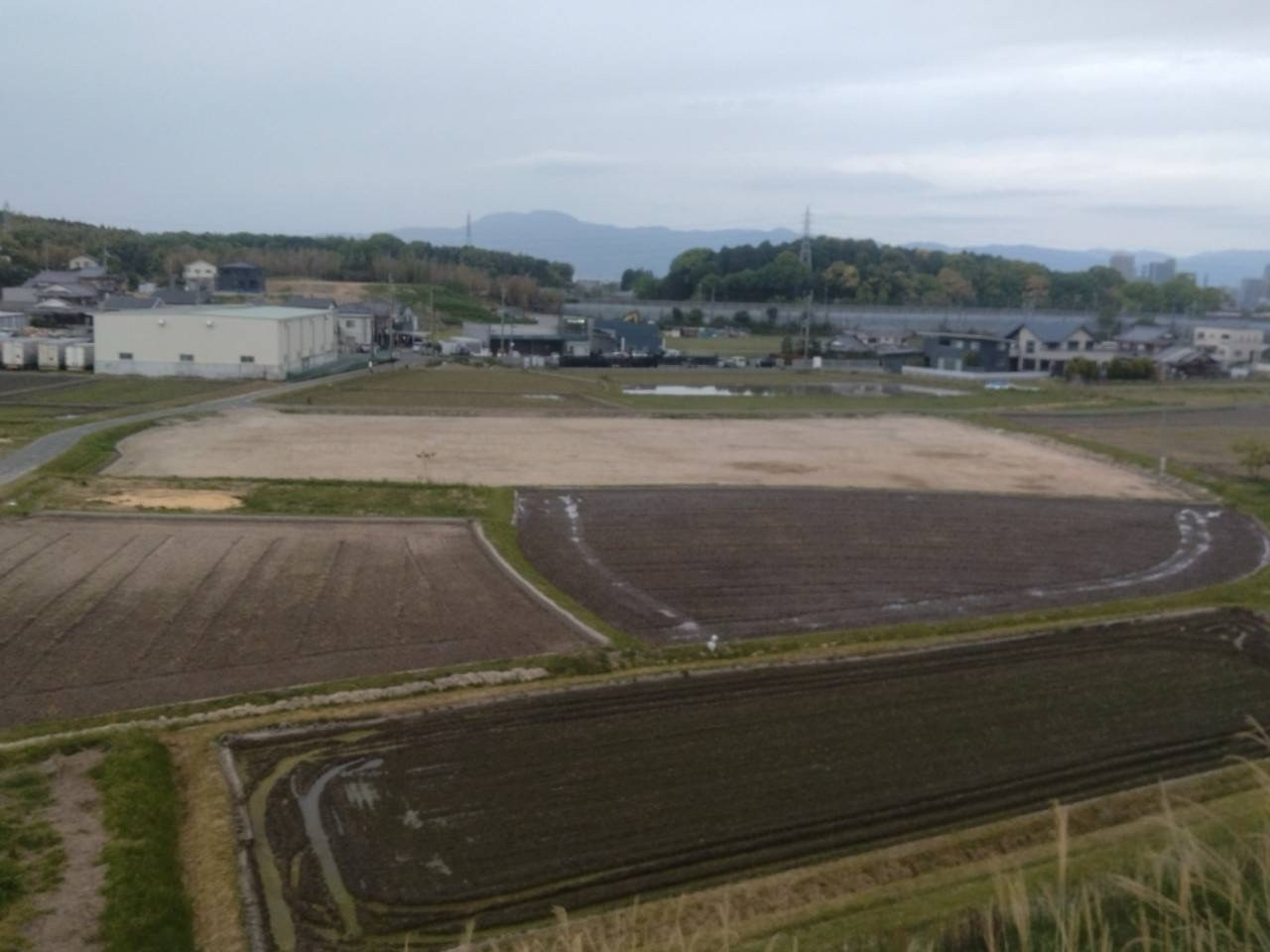 草津市農園造成工事