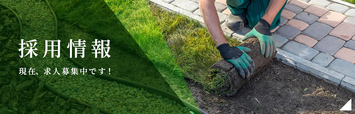 採用情報
