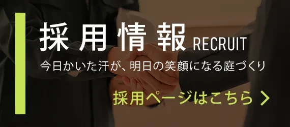 採用情報