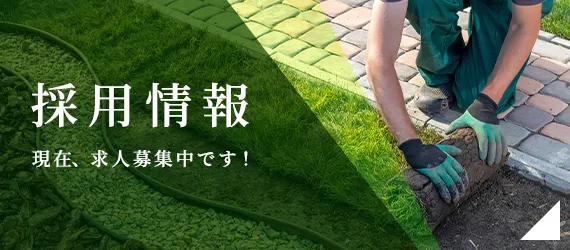 採用情報